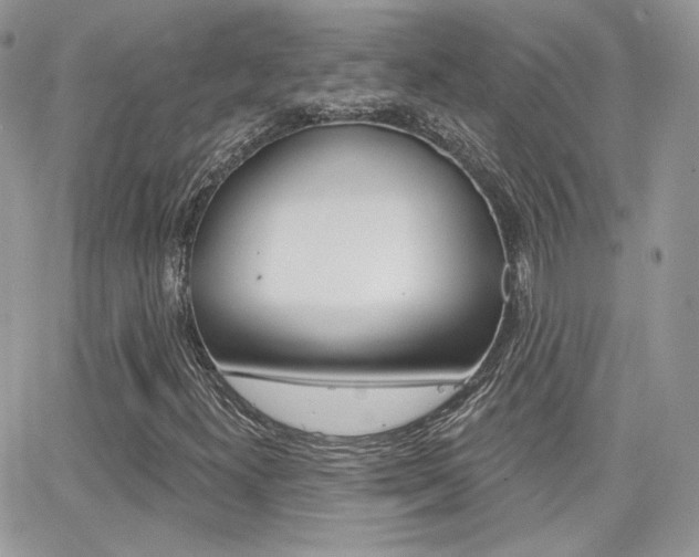 X0000066991300200603241010