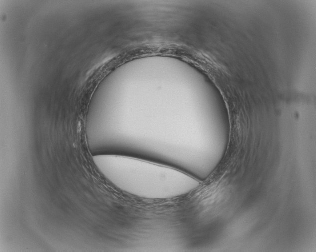 X0000066991302200603241010