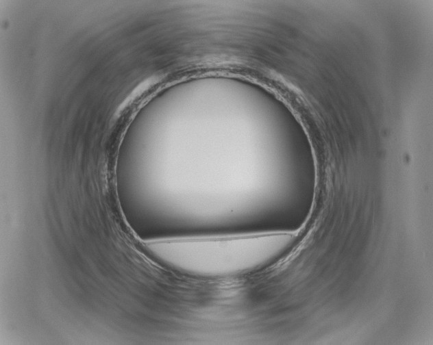 X0000066991306200603241010