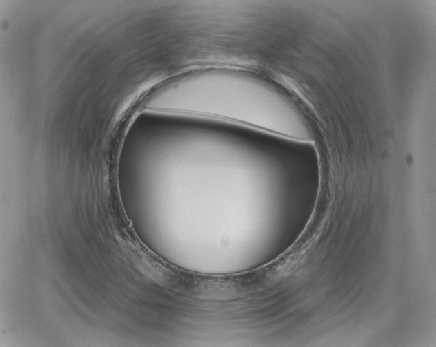 X0000066991307200603241010