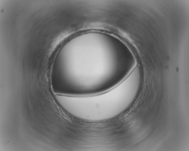 X0000066991312200603241010