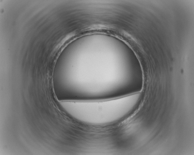 X0000066991313200603241010