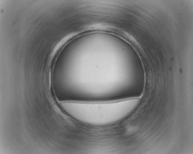 X0000066991323200603241010