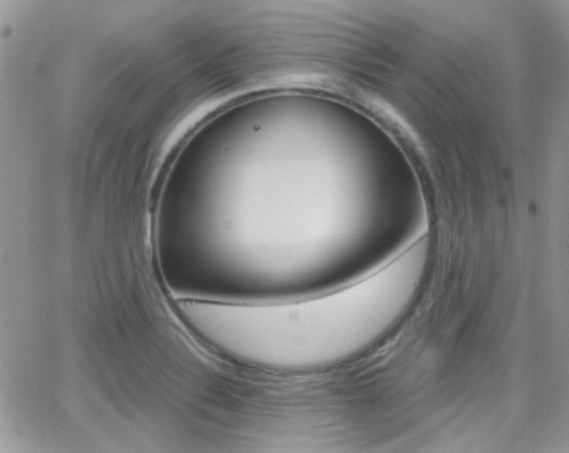X0000066991324200603241010