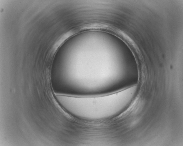 X0000066991329200603241010