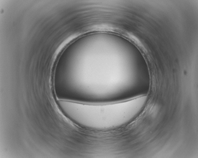 X0000066991331200603241010