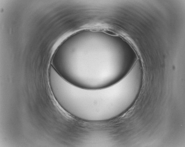 X0000066991344200603241011