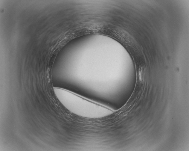X0000066991347200603241010
