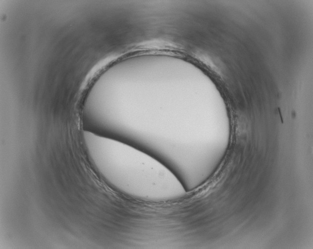 X0000066991358200603241010