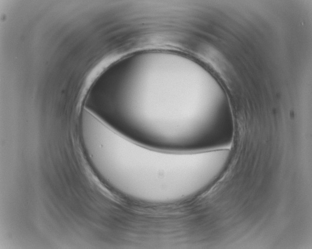 X0000066991371200603241009