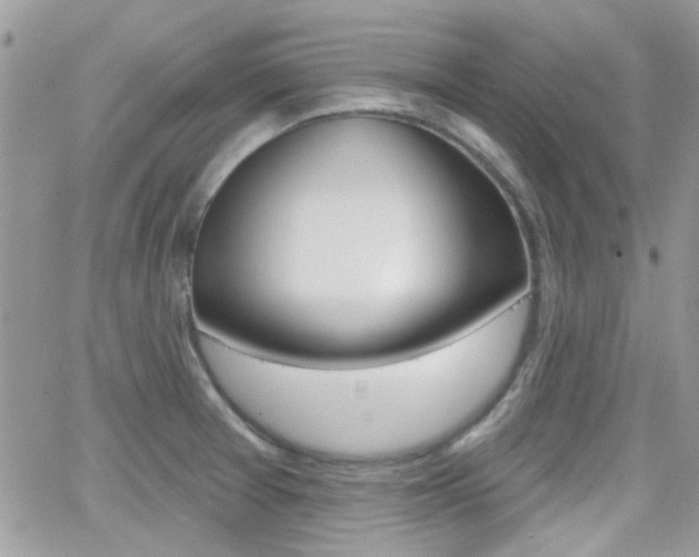 X0000066991377200603241009