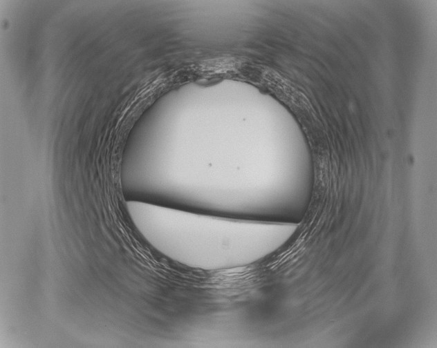 X0000066991393200603241008