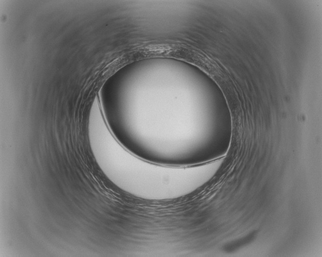 X0000066991394200603241008