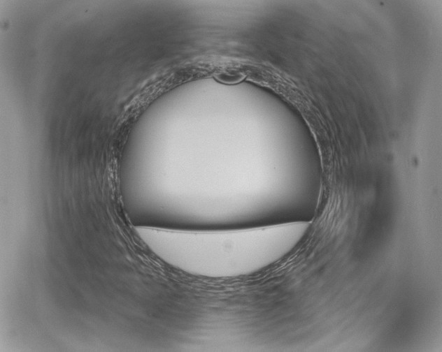 X0000066991397200603241008