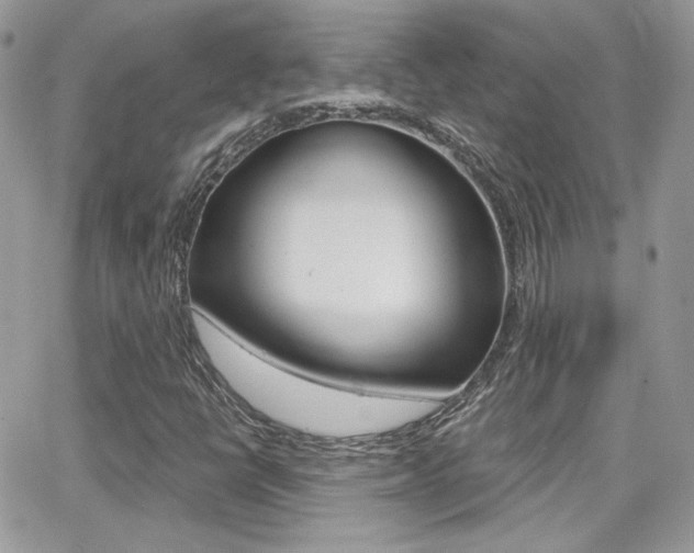 X0000066991398200603241008