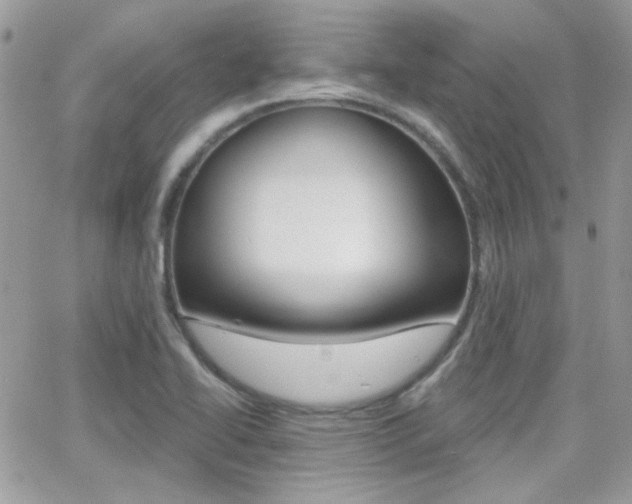 X0000066991414200603241009