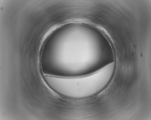 X0000066991424200603241009