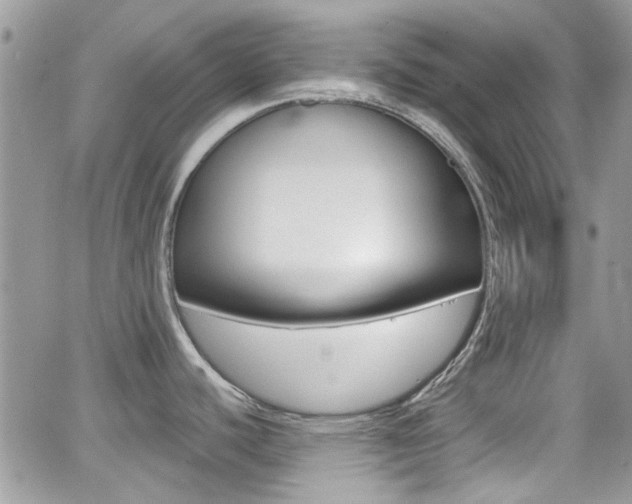 X0000066991440200603241009