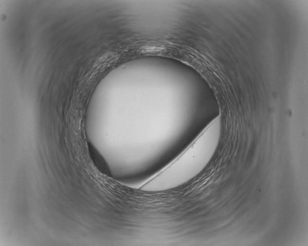 X0000066991441200603241008