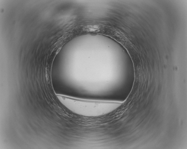 X0000066991442200603241008