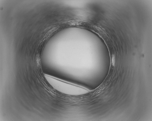 X0000066991444200603241008