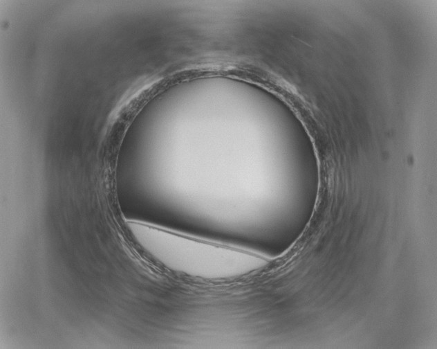 X0000066991448200603241008