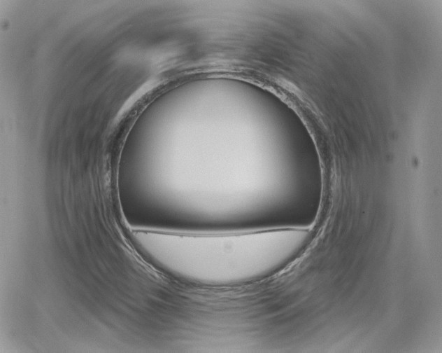 X0000066991450200603241008