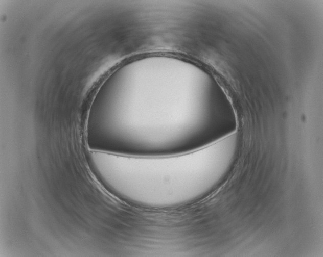 X0000066991452200603241008