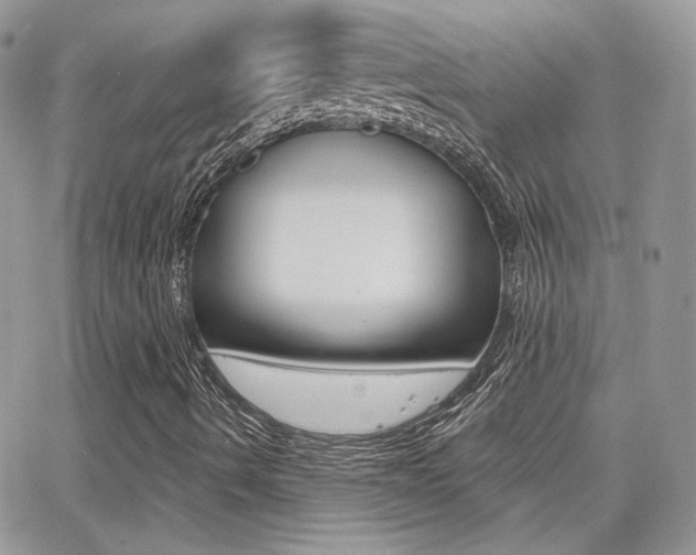 X0000066991490200603241007