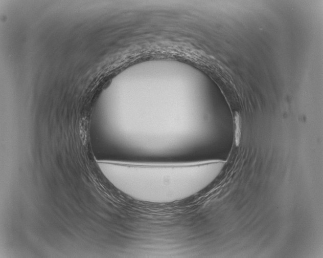 X0000066991491200603241007
