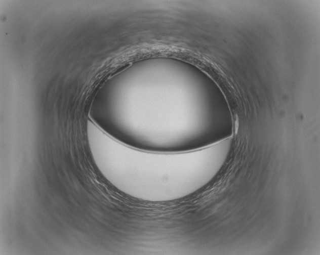 X0000066991492200603241007