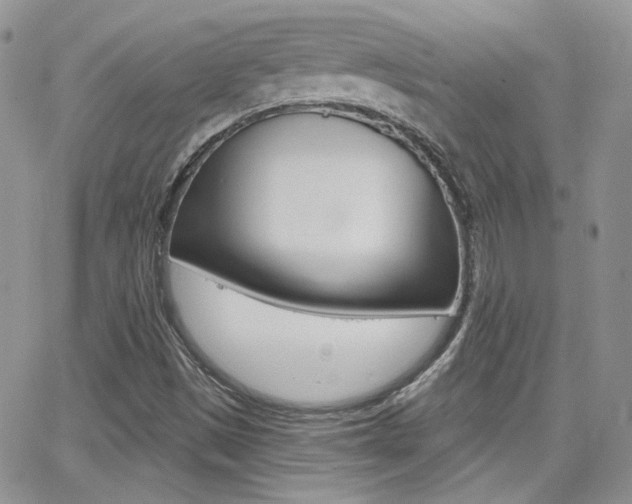 X0000066991497200603241007