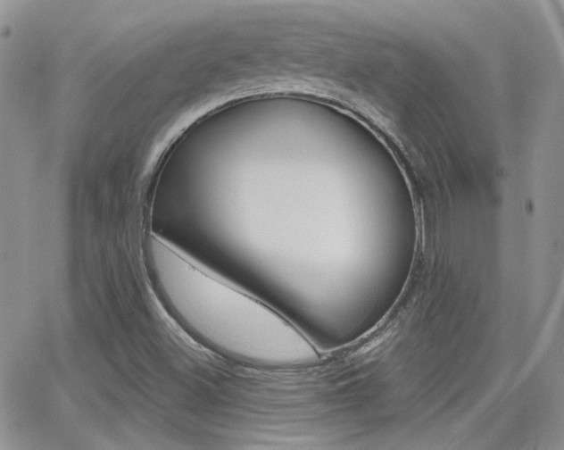 X0000066991500200603241007