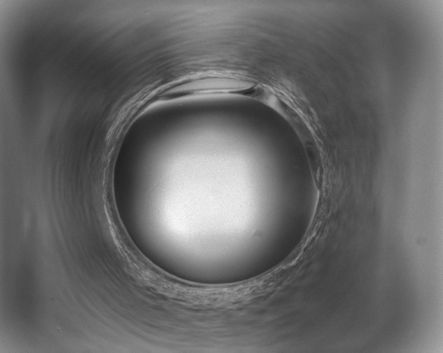 X0000066990001200603241328