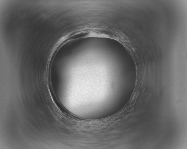 X0000066990003200603241328