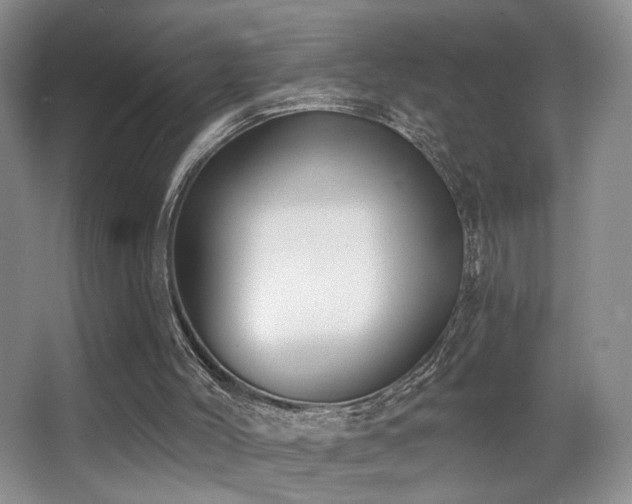 X0000066990004200603241328