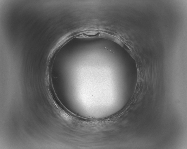 X0000066990005200603241328