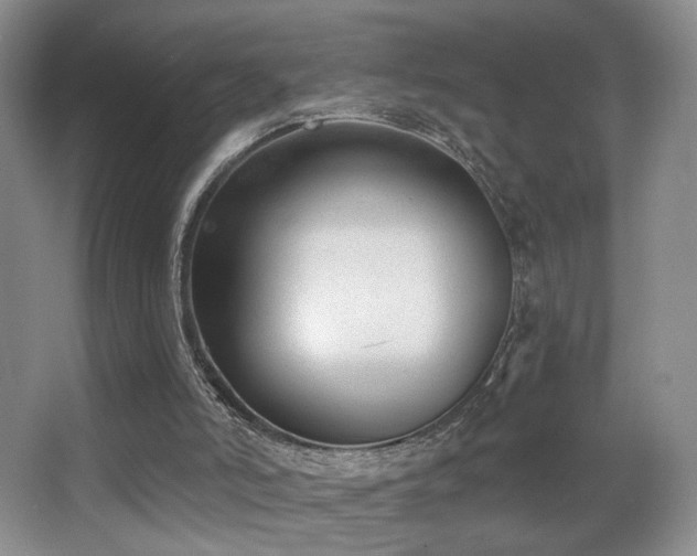 X0000066990006200603241328