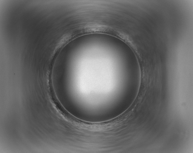 X0000066990010200603241328
