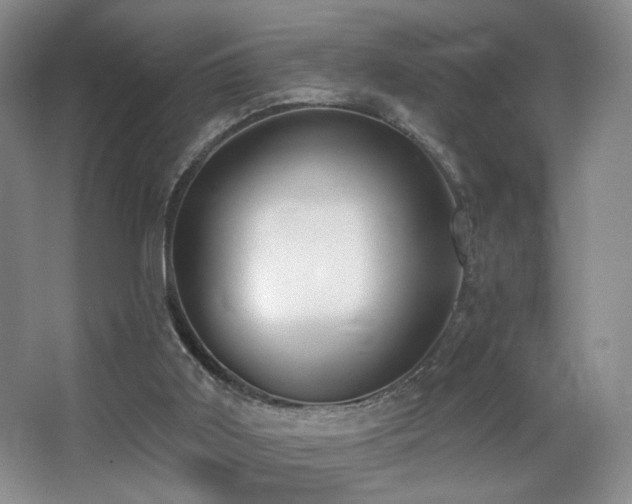 X0000066990011200603241328