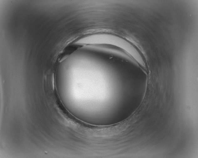 X0000066990013200603241328