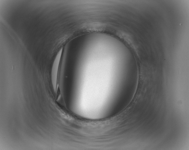 X0000066990017200603241328