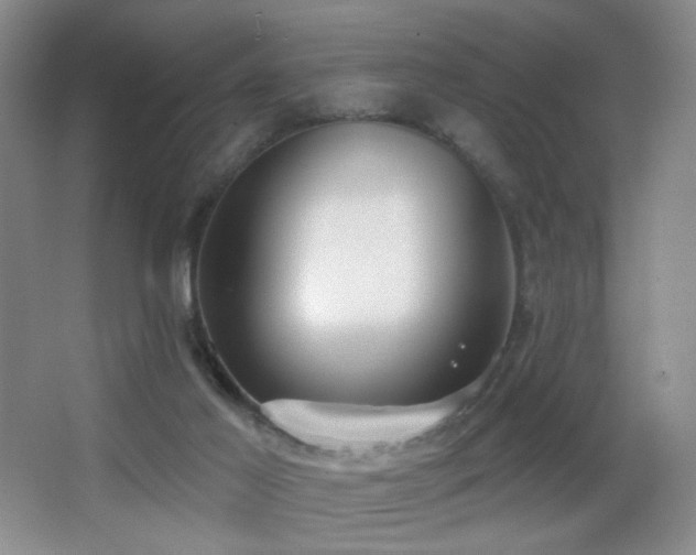 X0000066990021200603241328