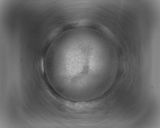 X0000066990022200603241328