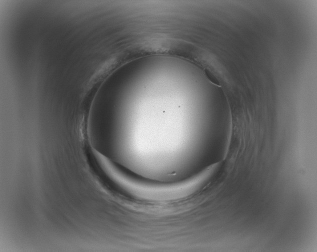 X0000066990023200603241328