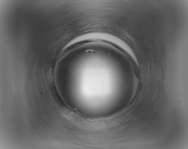 X0000066990029200603241328