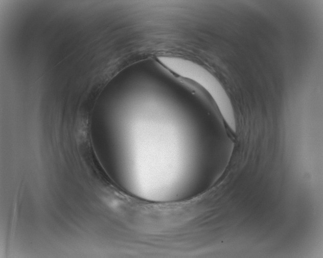 X0000066990033200603241328