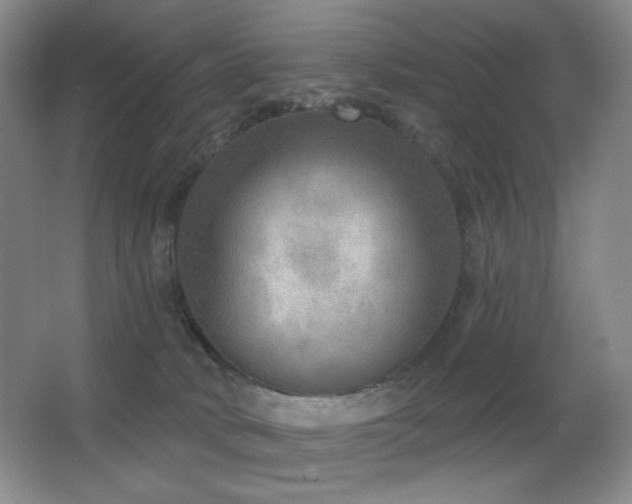 X0000066990034200603241328