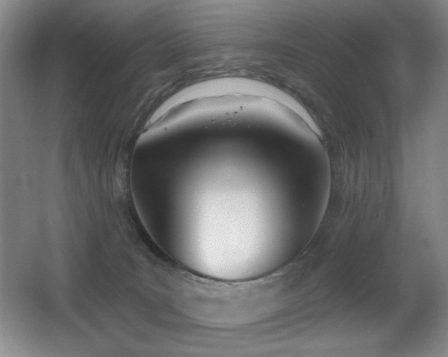 X0000066990035200603241328