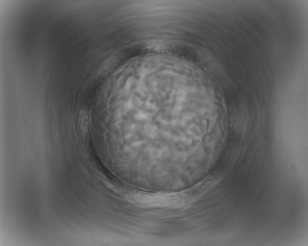 X0000066990036200603241328